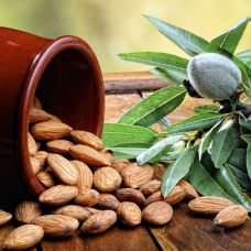 Мигдаль Нікітський