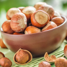 Фундук Каталонський