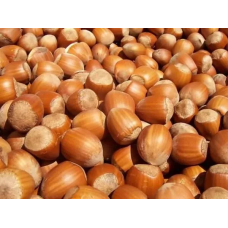 Фундук Бомба