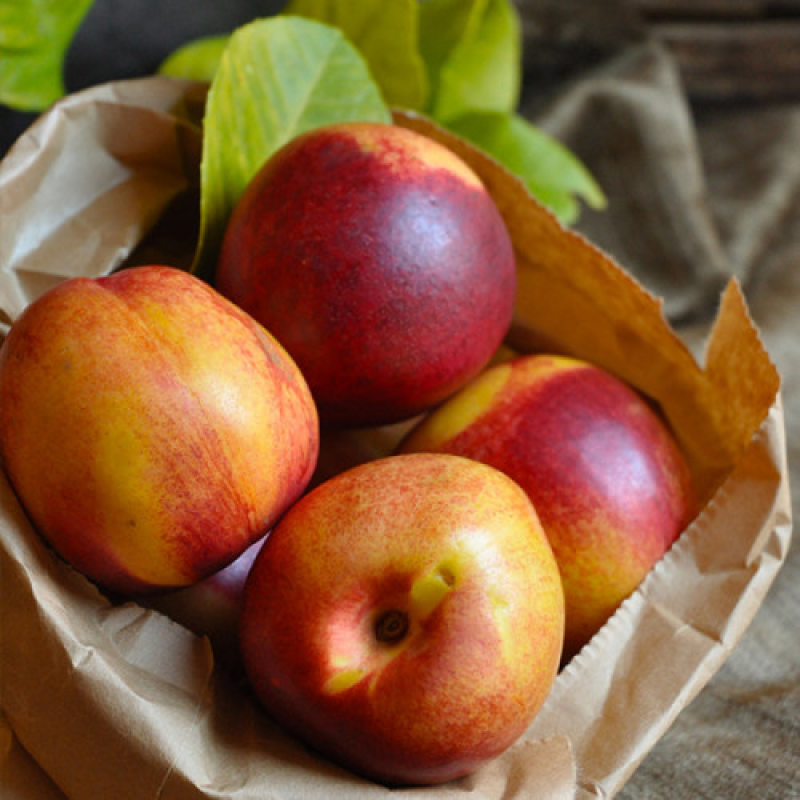 Нектарин колоновидний Фантазія Нектарин колоновидний Фантазія