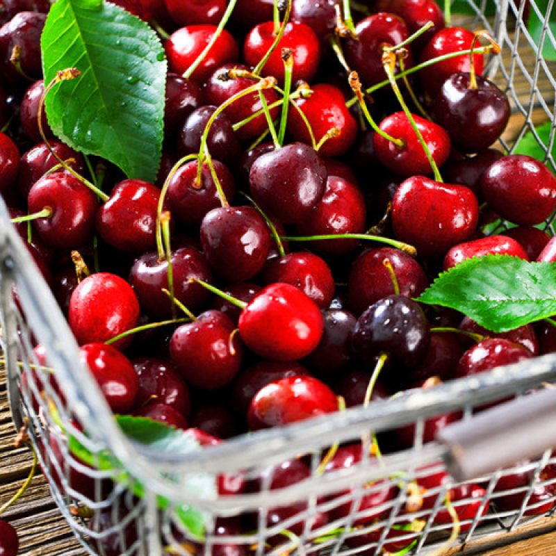 Колоновидна черешня Яхім