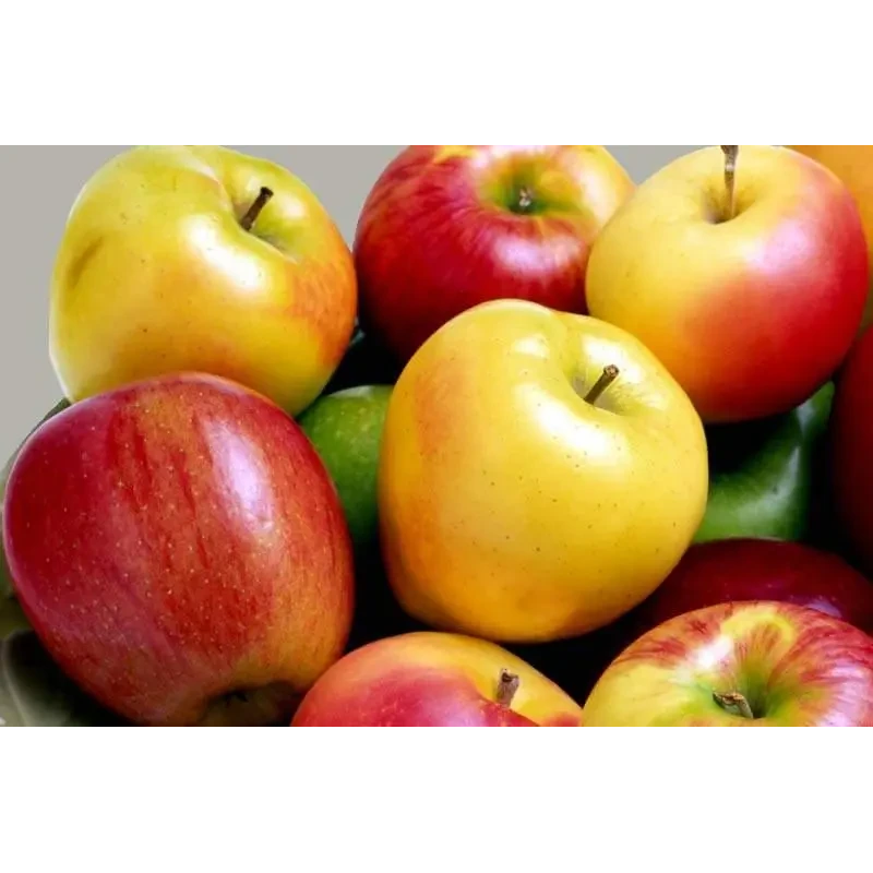 Комплект із 3-х сортів яблуні Білий налив, Чемпіон, Голден (літо, осінь, зима)