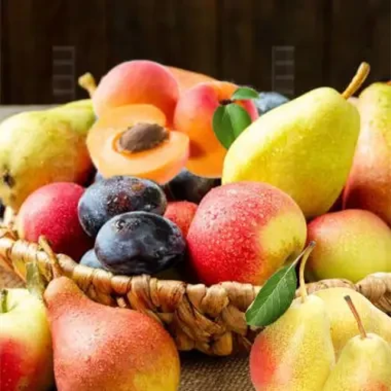 Комплект колоноподібних дерев Мій сад (8 саджанців мікс)