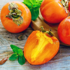 Хурма Костата