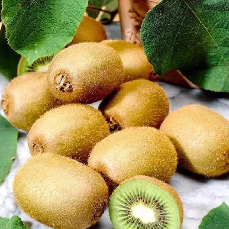 Ківі Закарпатський