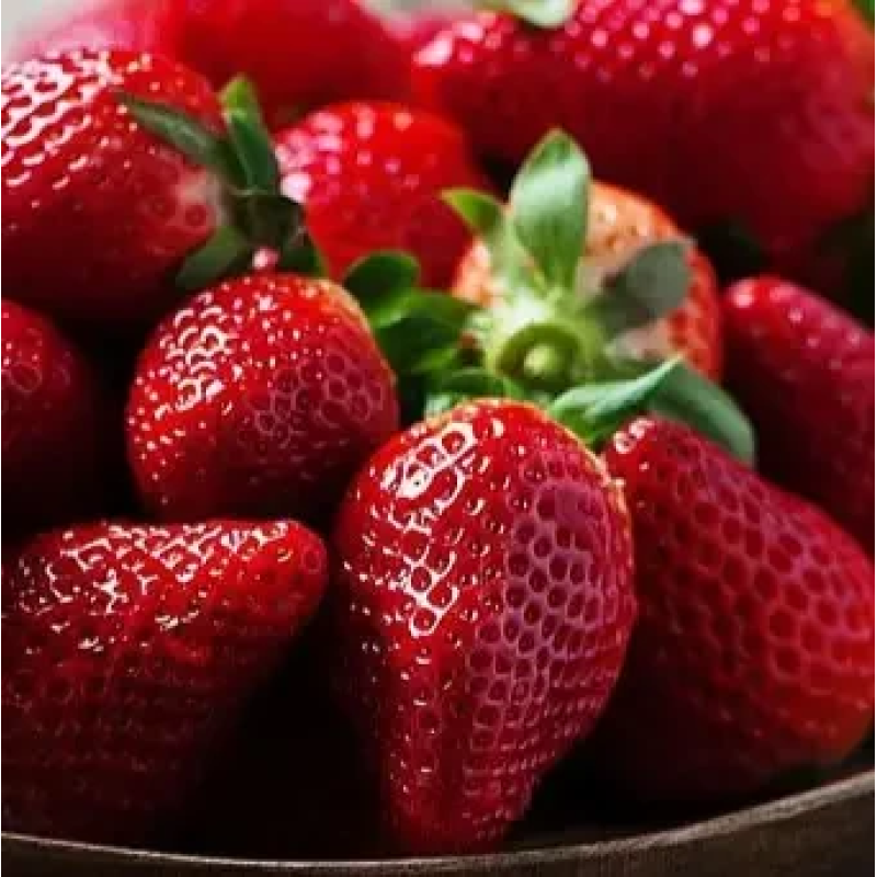 РОЗСАДА ПОЛУНИЦІ МІСІС ВІЛЛОУ (MRS. WILLOW) - РЕМОНТАНТНА, СОЛОДКА, ВИСОКОВРОЖАЙНА