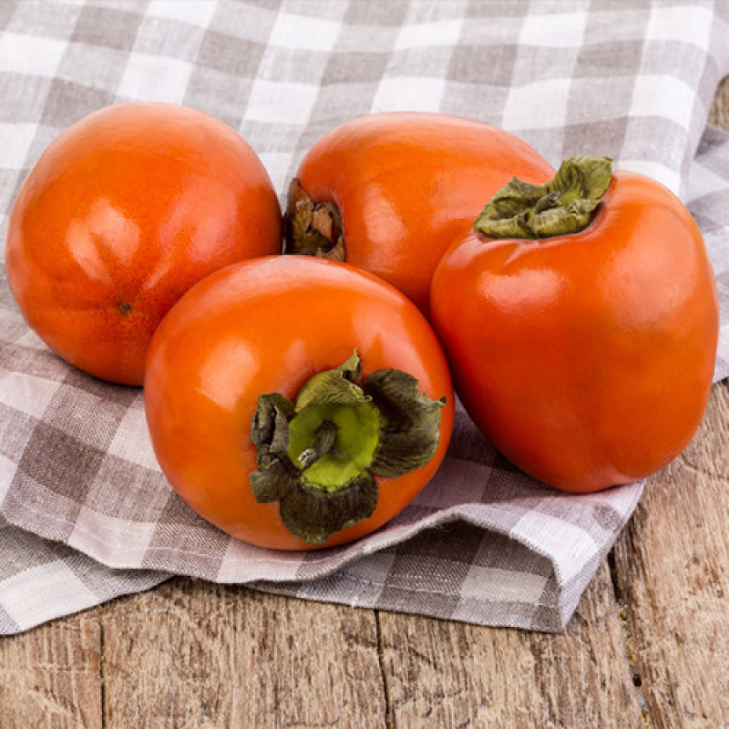 Хурма Віргінська Великоплідна